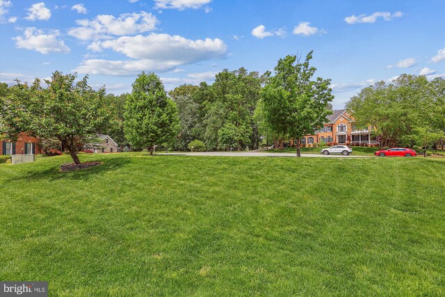 view of grassy yard