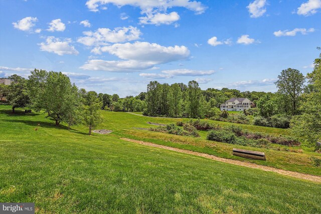 view of grassy yard