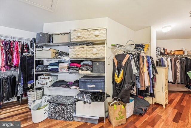 walk in closet featuring wood finished floors