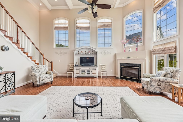 living area with a high ceiling, a ceiling fan, healthy amount of natural light, wood finished floors, and ornamental molding