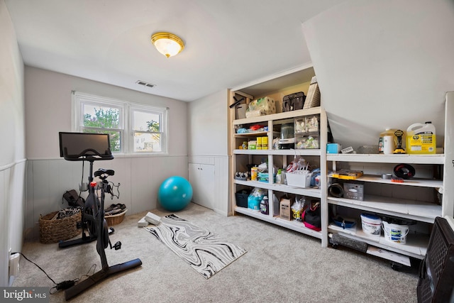 workout area with visible vents, wainscoting, and carpet