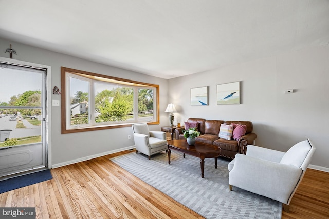 living room featuring baseboards and wood finished floors