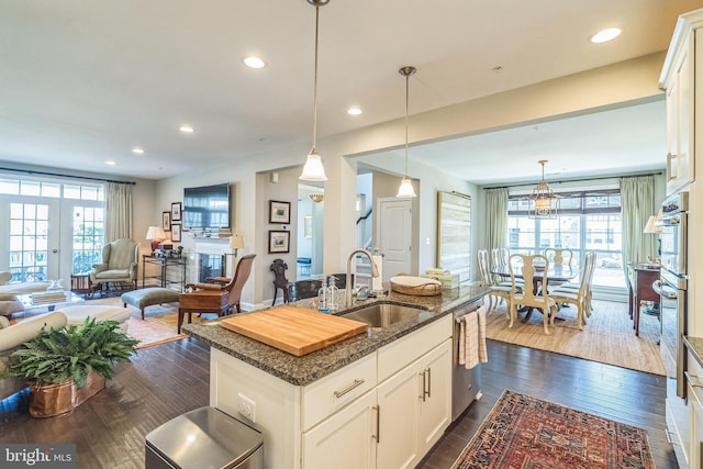 kitchen with a sink, dishwasher, and dark wood-style floors