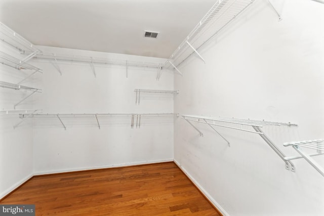 15533 Pamplin Pipe Ct, Manassas, VA 20112 - walk in closet featuring wood finished floors