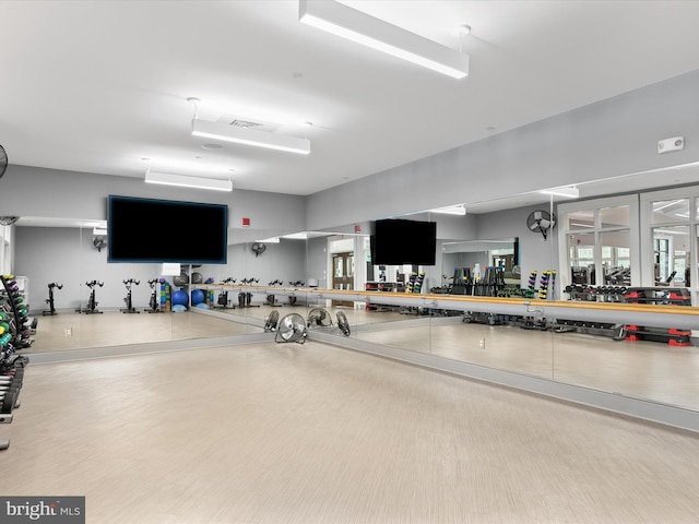 20515 Anchor Ln, Frankford, DE 19945 - view of workout area