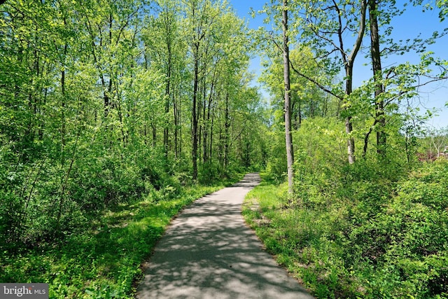 view of street with a wooded view