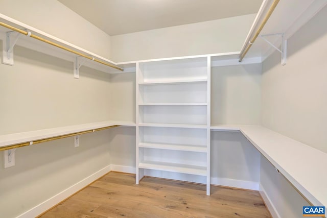 walk in closet featuring light wood-type flooring