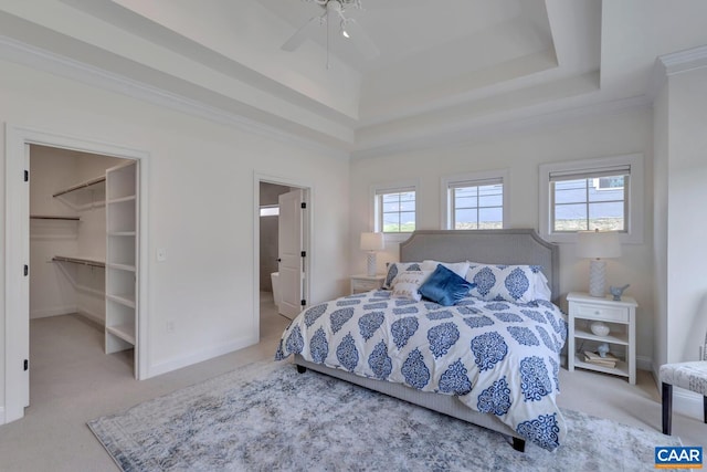 bedroom featuring a walk in closet, multiple windows, carpet, and a tray ceiling