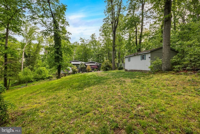 117 Holly Ln, Pilesgrove, NJ 08098 - view of green lawn featuring an outbuilding