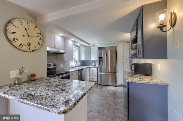 kitchen with a sink, a peninsula, stainless steel appliances, under cabinet range hood, and decorative backsplash