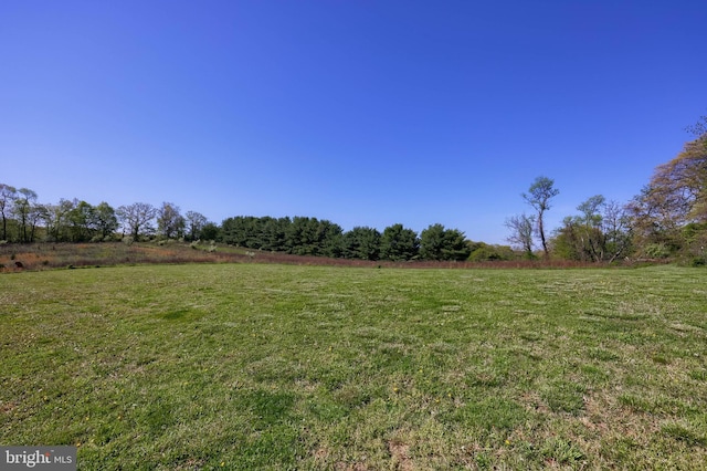 view of yard featuring a rural view