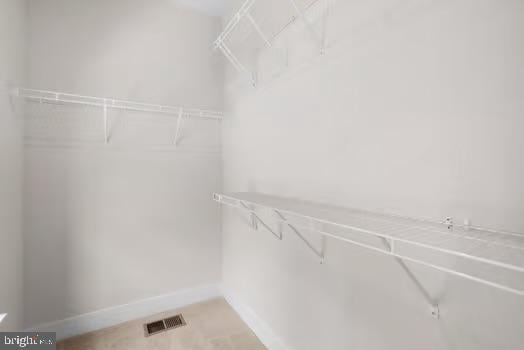 136 Salinger Dr Unit 136, Gaithersburg, MD 20878 - view of walk in closet