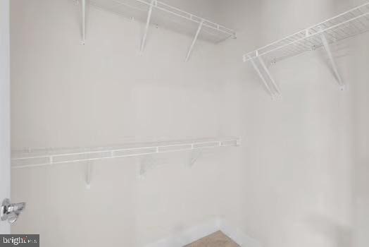 136 Salinger Dr Unit 136, Gaithersburg, MD 20878 - view of walk in closet