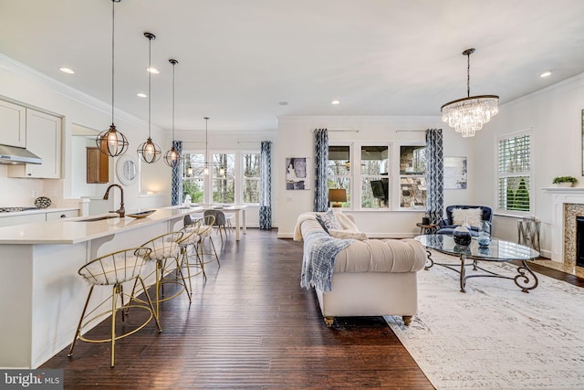 living area featuring crown molding, healthy amount of natural light, dark wood finished floors, a chandelier, and a high end fireplace