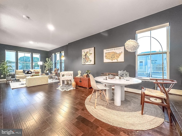 dining space featuring wood finished floors