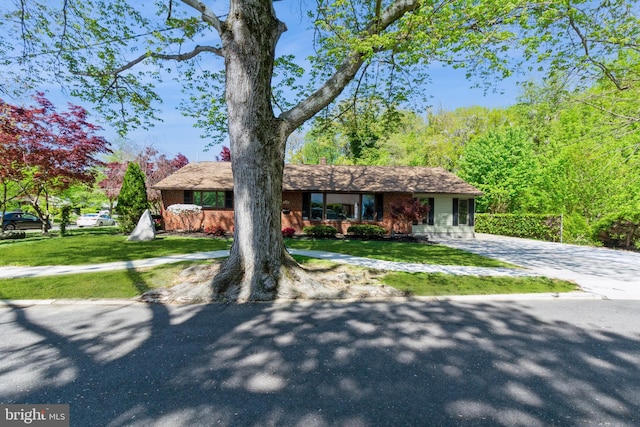 view of front facade with driveway and a front yard