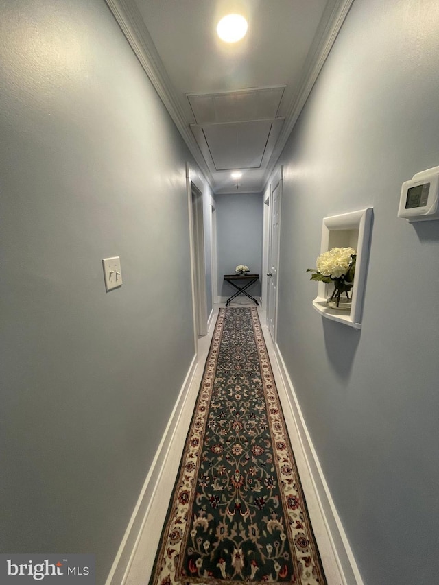 3 Talbot Ave, Cambridge, MD 21613 - hallway featuring attic access, baseboards, and carpet