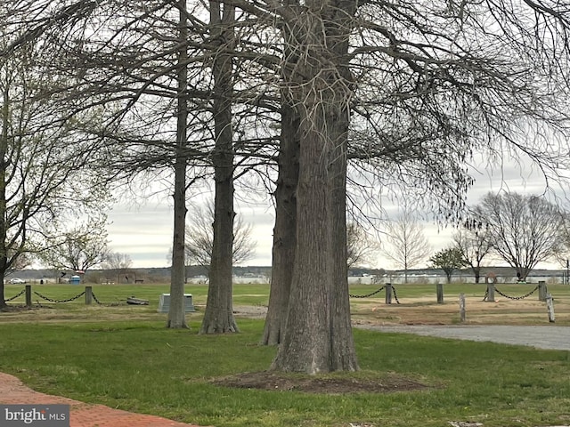 3 Talbot Ave, Cambridge, MD 21613 - view of home's community featuring a yard