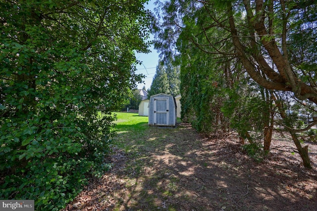 view of yard featuring an outbuilding and a storage shed