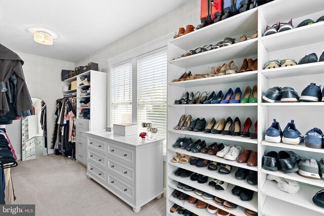 walk in closet with light colored carpet