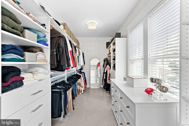 walk in closet with light colored carpet