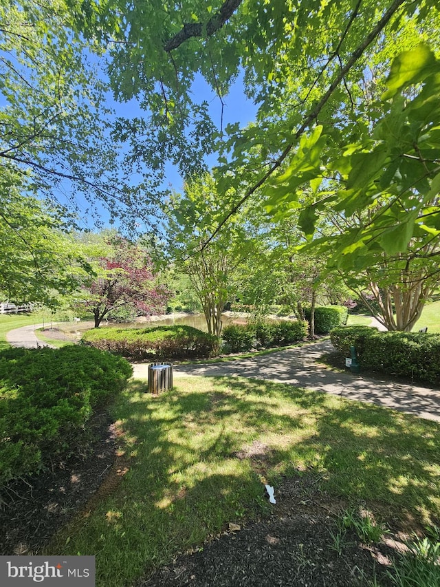 303 Saybrooke View Dr, Gaithersburg, MD 20877 - view of grassy yard