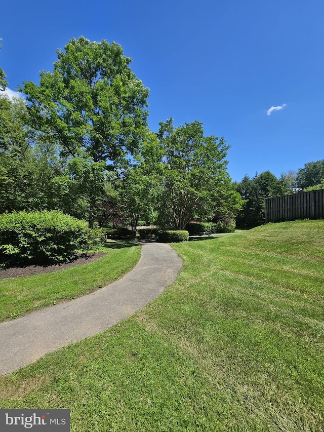 303 Saybrooke View Dr, Gaithersburg, MD 20877 - view of yard