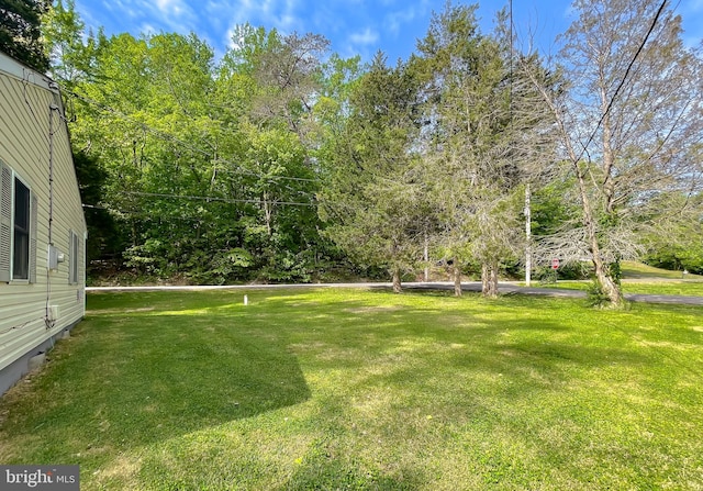 42190 Ridge Rd, Mechanicsville, MD 20659 - view of yard
