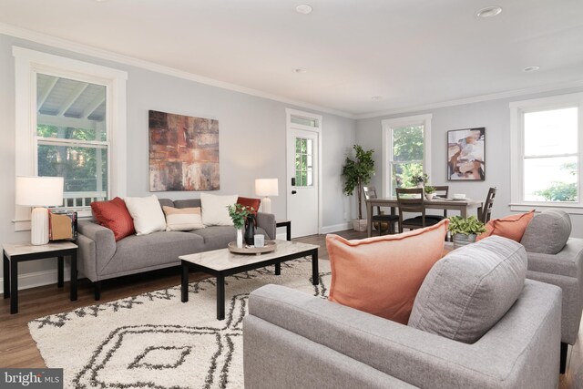 1119 Overbrook Rd, Baltimore, MD 21239 - living room with wood finished floors, crown molding, baseboards, and recessed lighting