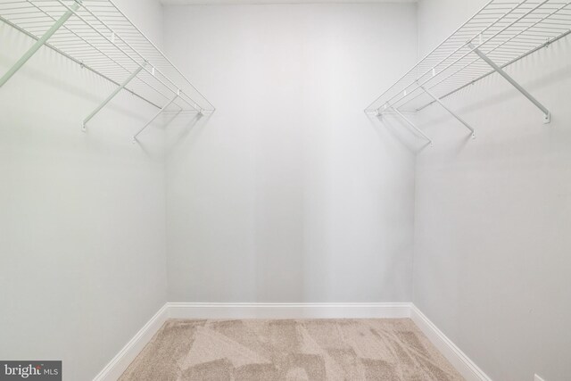 1119 Overbrook Rd, Baltimore, MD 21239 - spacious closet featuring carpet floors