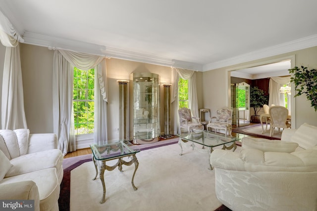 living room featuring crown molding and wood finished floors
