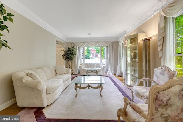 living room with baseboards, ornamental molding, and wood finished floors