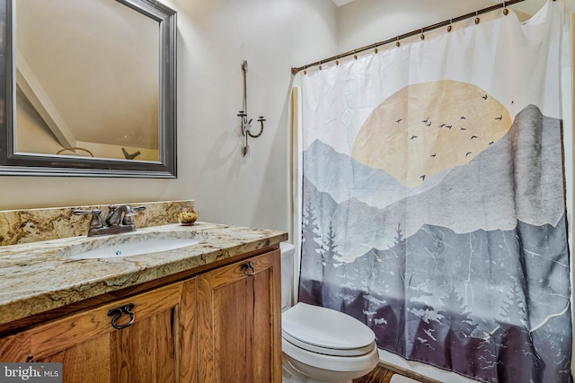 bathroom with toilet and vanity