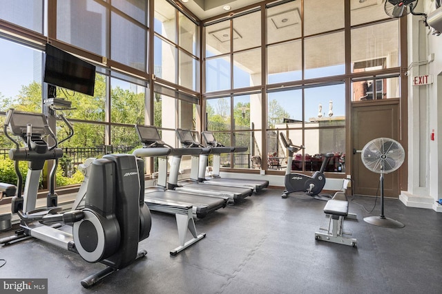 gym featuring a high ceiling and plenty of natural light