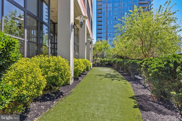 view of green lawn