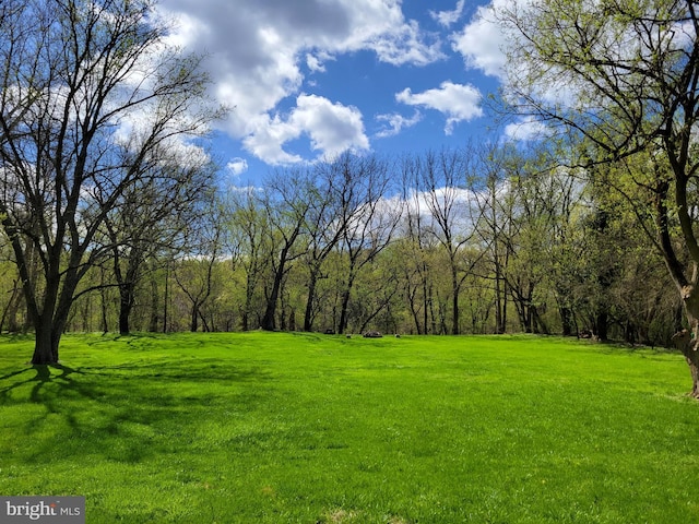view of yard featuring a forest view