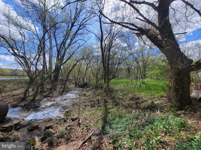 view of nature
