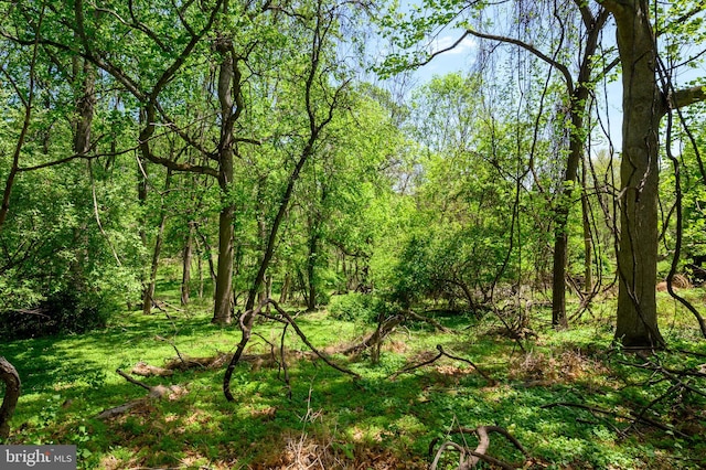 view of landscape featuring a forest view