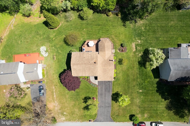 drone / aerial view