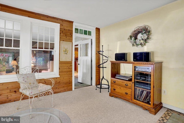 3401 Eisenbrown Rd, Reading, PA 19605 - living area featuring wood walls and carpet flooring