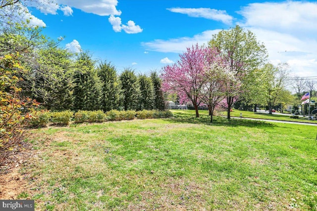 3401 Eisenbrown Rd, Reading, PA 19605 - view of yard