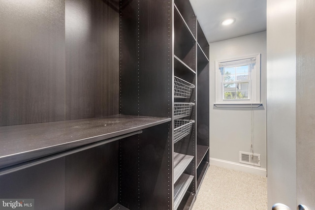 walk in closet with visible vents and carpet flooring