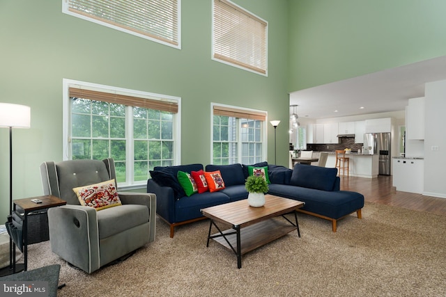 3 Firestone Ct, Skillman, NJ 08558 - living area with a high ceiling and wood finished floors