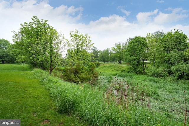 3 Firestone Ct, Skillman, NJ 08558 - view of undeveloped land