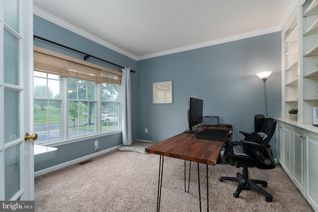 3 Firestone Ct, Skillman, NJ 08558 - office area featuring carpet, ornamental molding, and baseboards