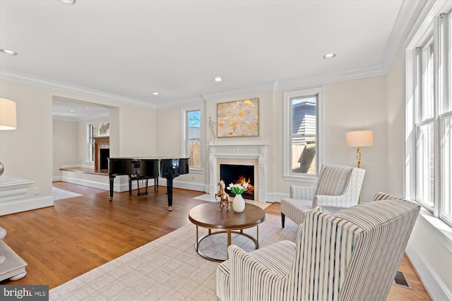 living room featuring a lit fireplace and a healthy amount of sunlight