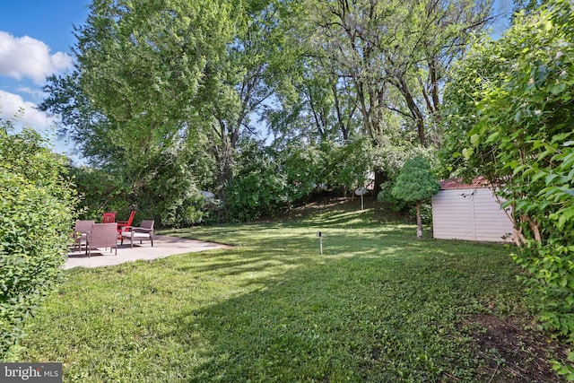 view of grassy yard with a patio area, an outdoor structure, and a storage unit