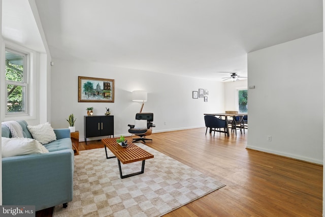 living room featuring healthy amount of natural light, ceiling fan, and light wood-style floors