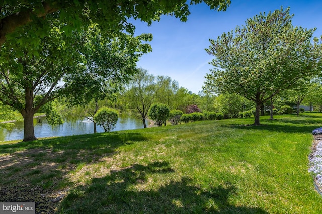 view of yard featuring a water view