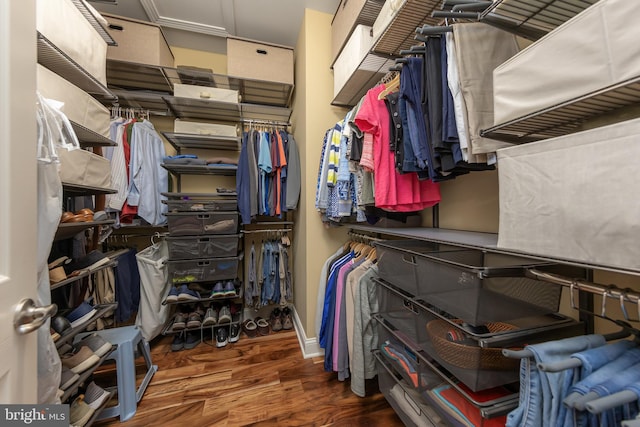 spacious closet featuring wood finished floors